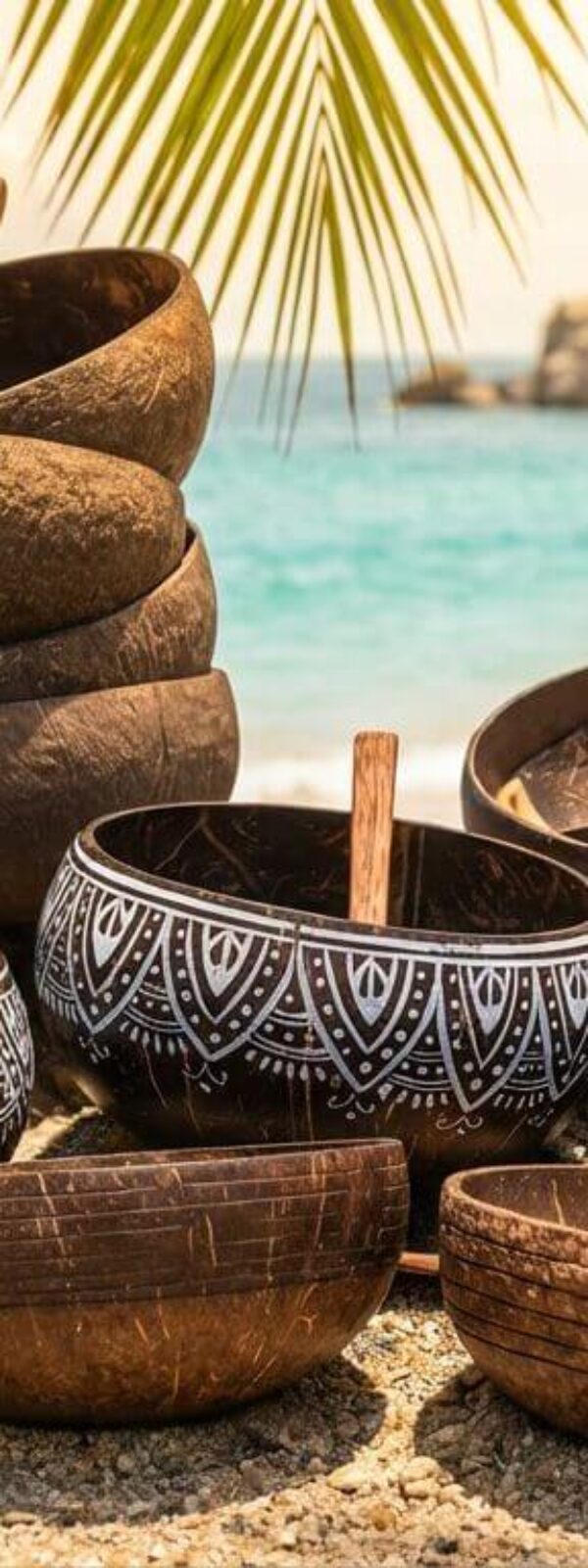 Die verschiedenen Coconut Bowls von Makapli